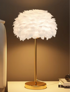 Dreamy Feather Lamp